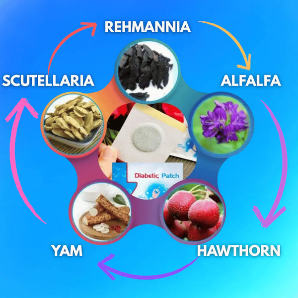 MetaBalance Wellness Foot Patch – Natural Detox Pads (Pack of 10)