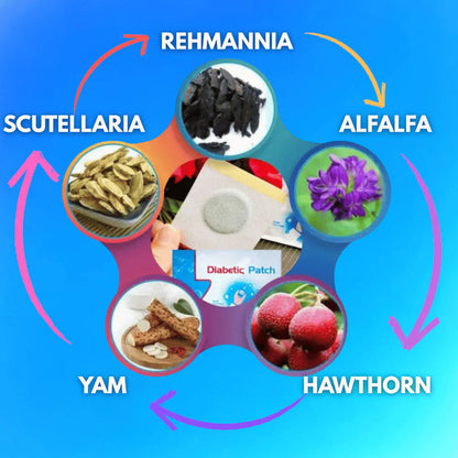 MetaBalance Wellness Foot Patch – Natural Detox Pads (Pack of 10)