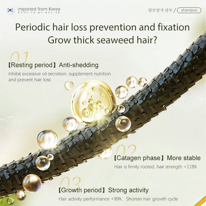 Dr.Ville Anti-Hair Loss Shampoo – Herbal Hair Growth Formula (B1G1)